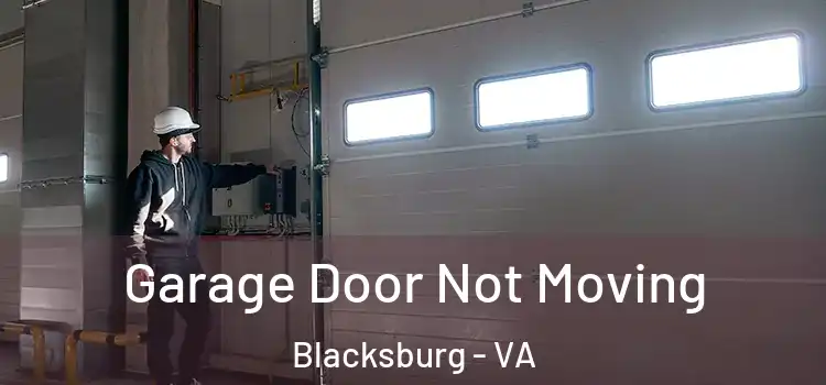  Garage Door Not Moving Blacksburg - VA